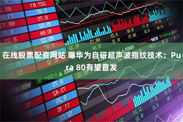 在线股票配资网站 曝华为自研超声波指纹技术：Pura 80有望首发
