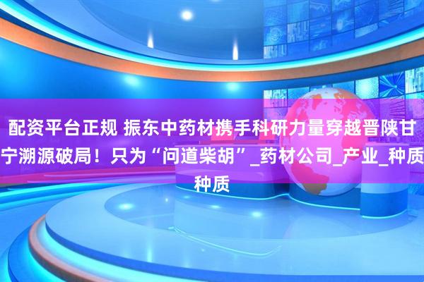 配资平台正规 振东中药材携手科研力量穿越晋陕甘宁溯源破局！只为“问道柴胡”_药材公司_产业_种质