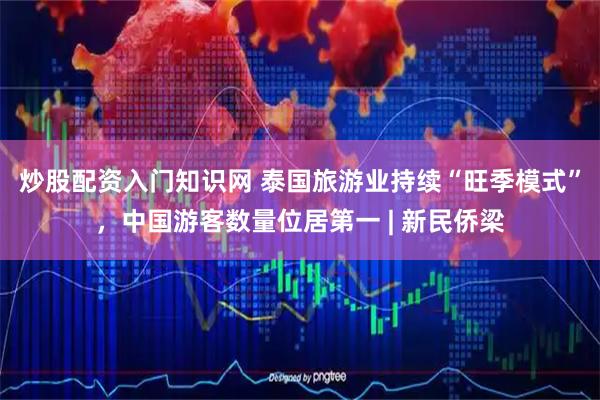 炒股配资入门知识网 泰国旅游业持续“旺季模式”，中国游客数量位居第一 | 新民侨梁