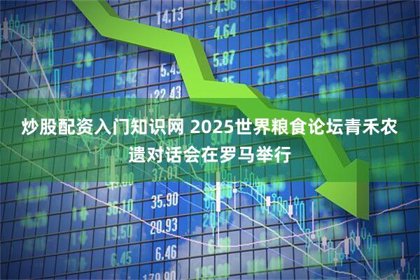 炒股配资入门知识网 2025世界粮食论坛青禾农遗对话会在罗马举行