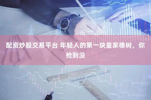 配资炒股交易平台 年轻人的第一块皇家橡树，你抢到没
